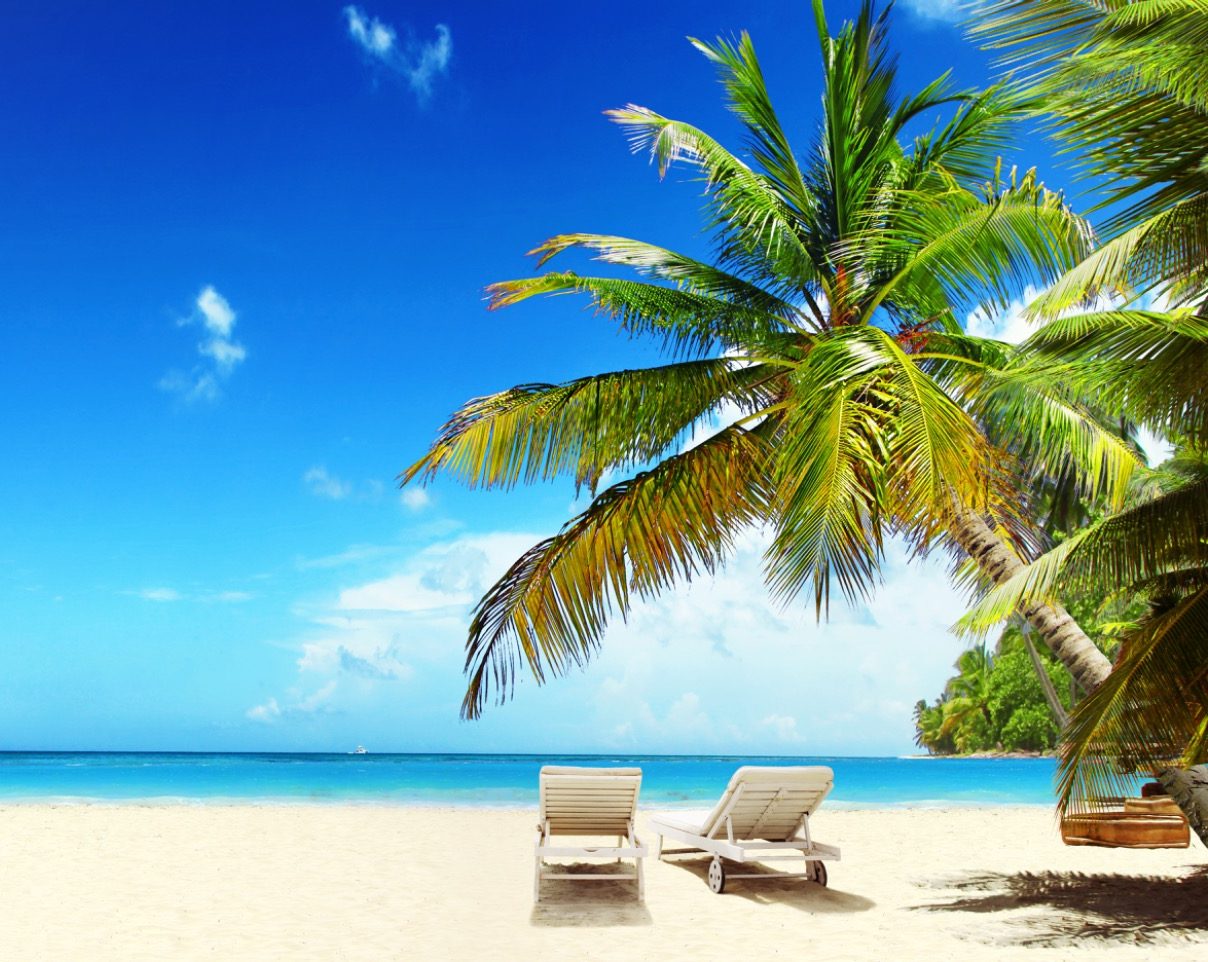 Strand mit Palmen und 2 Liegen Strand mit Palmen und 2 Liegen